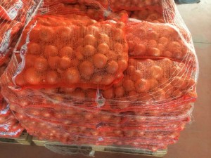Cipolla dorata in rete tradizionale